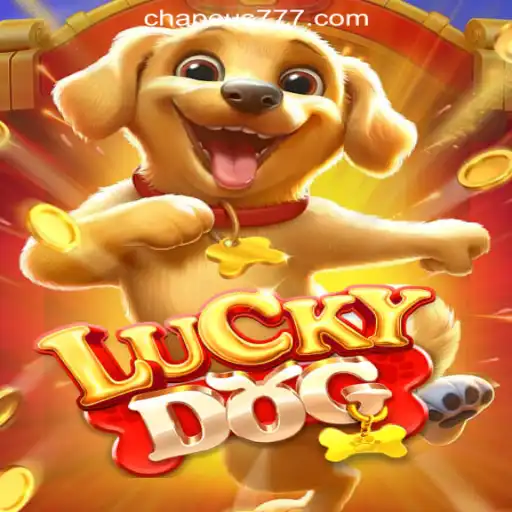 Exploring the Exciting World of LuckyDog: CHAPEU777 Oficial Slots Brasil #1